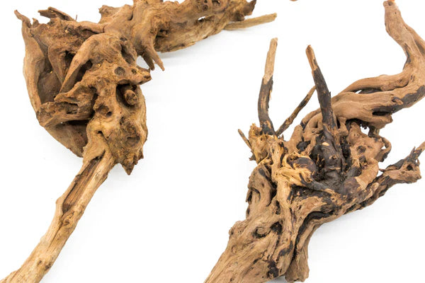 Amazon Driftwood - Medium
