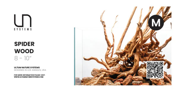 SpiderWood -Medium