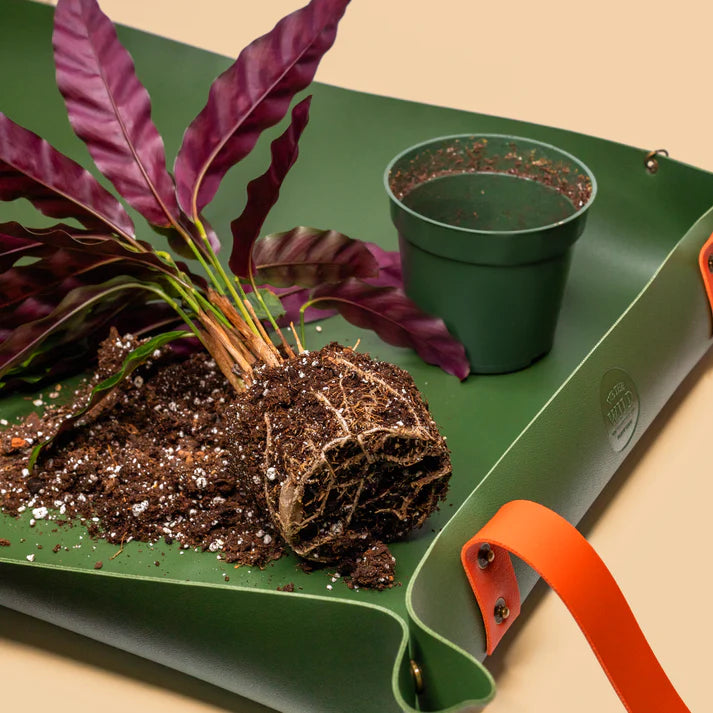 Tabletop Potting Mat (Small)