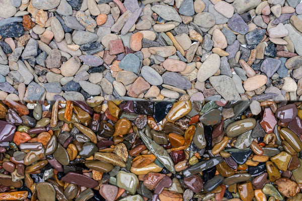 UNS Controsand 8L - Sequoia