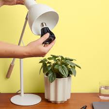 Instant Sun Grow Bulb from We The Wild