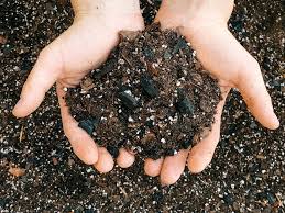 Dirt Bag: 2 Gallon from BWH