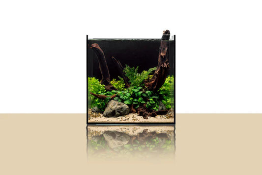 DUAL AIO 30A 11.81" x 11.81" x 11.81" 7.1 gallons Rimless Tank