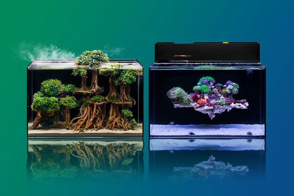 DUAL AIO 30A 11.81" x 11.81" x 11.81" 7.1 gallons Rimless Tank