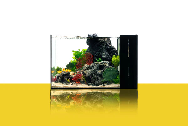 DUAL AIO 45A 17.71" x 11.02" x 11.02" 9.3 Gallons Rimless Tank