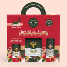 Holiday Plant Care Taster Kit from We The Wild