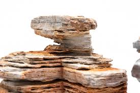 Pagoda stone - price per pound