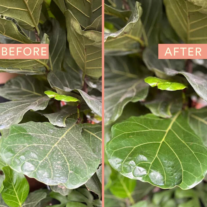 Protect Spray with Neem (17 fl oz) from We The Wild